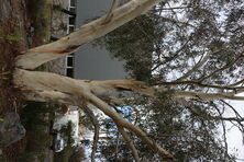 Alpine Uniting Church 24-05-2025 - John Huth, Wilston, Brisbane