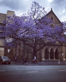 Flinders Street Baptist Church