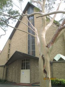 Holy Eucharist Catholic Church 18-12-2017 - John Conn, Templestowe, Victoria