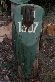 Holy Spirit Anglican Church - 1907 Stump 01-12-2018 - Judith Salecich