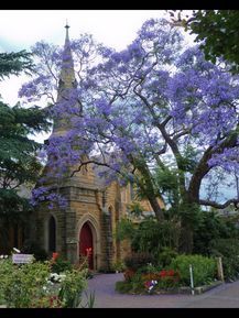 Springwood Presbyterian Church unknown date - Ruby Tuesday - Pinterest - See Note