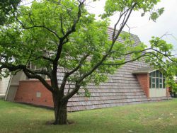 St Andrew's Uniting Church 14-01-2015 - John Conn, Templestowe, Victoria