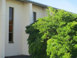 St Augustine's Catholic Church 20-01-2014 - John Conn, Templestowe, Victoria