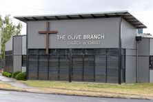 The Olive Branch