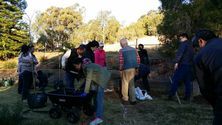 Toowoomba Chinese Church - Family Event Planting Trees 03-09-2017 - Michael Hsieh