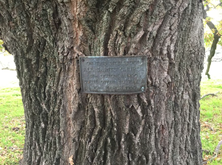 Yalca South Uniting Church - Former - Site Plaque 28-05-2017 - Max Burnside